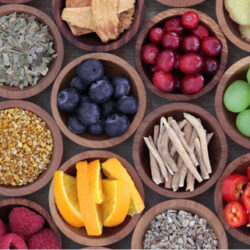 Increasing Your IVF Success Through Mind/Body Stress Reduction Programs