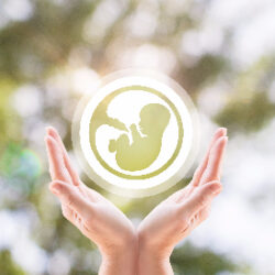 What is the difference between PGS and PGD?