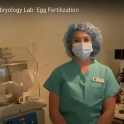 A Day in the Life of the IVF Lab: Egg Fertilization